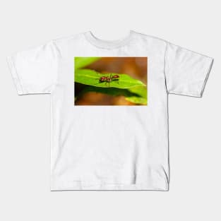 A bullet ant, Paraponera clavata Kids T-Shirt